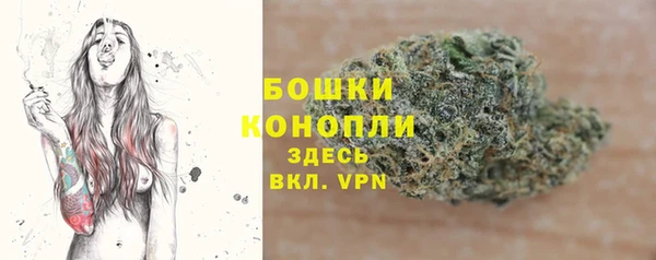 МДПВ Кодинск