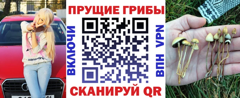 Галлюциногенные грибы MAGIC MUSHROOMS  купить наркоту  Орехово-Зуево 